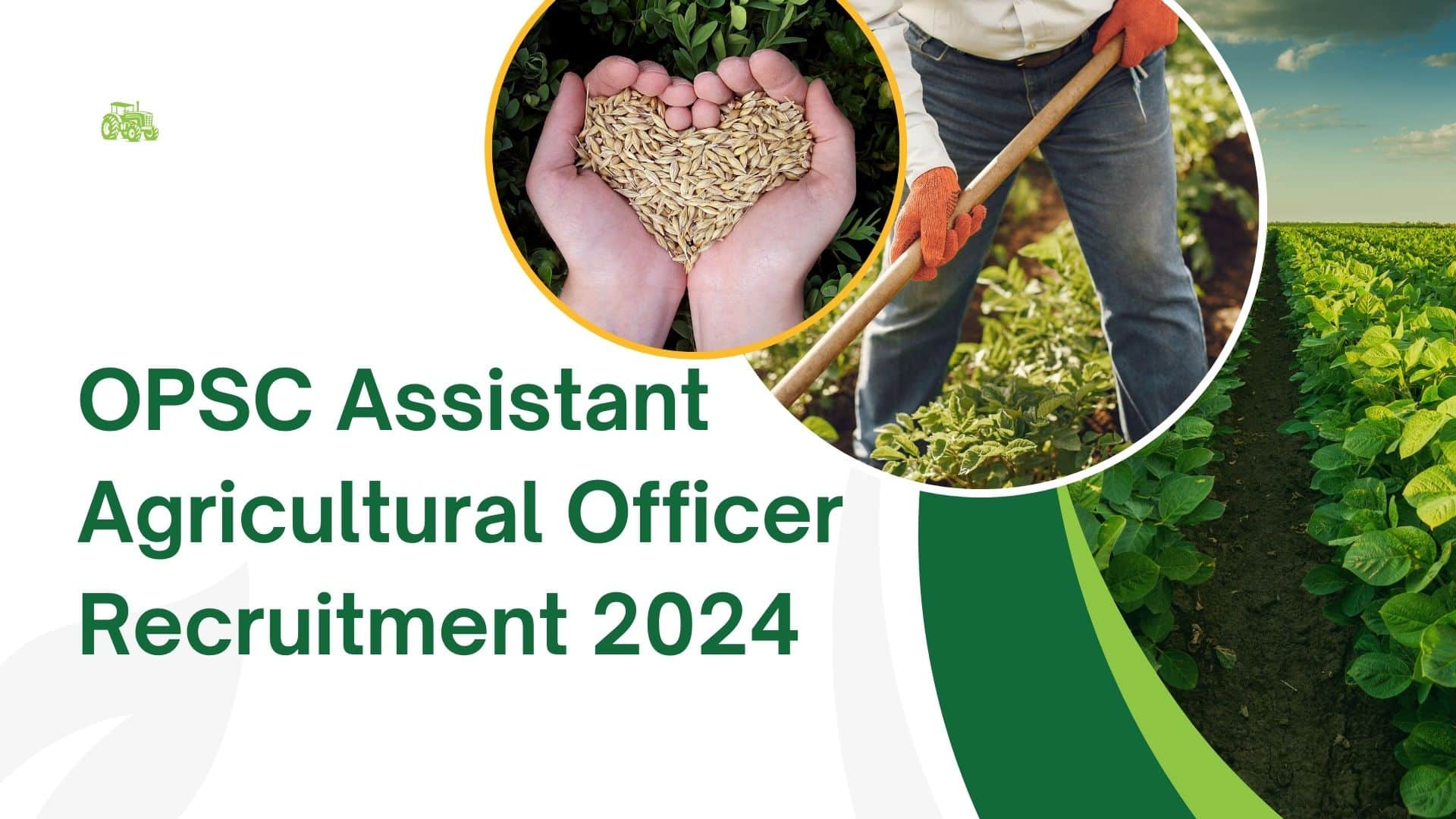 OPSC Assistant Agricultural Officer Recruitment 2024